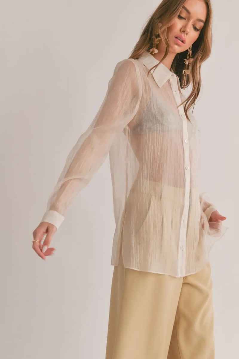 Sheer Button Down Shirt 2
